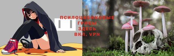 спиды Балахна
