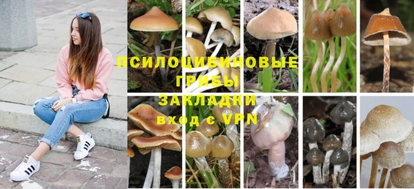 спиды Балахна